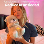 Peluche Oso Anti-Estrés